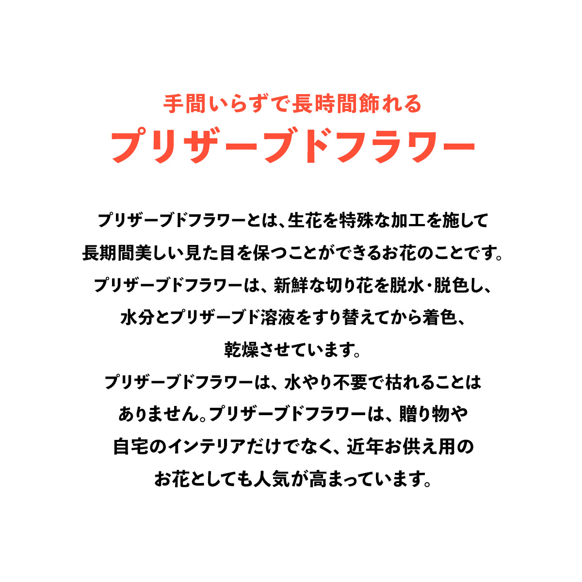 【バレンタイン限定】プリザーブドフラワー& チョコレートケーキ