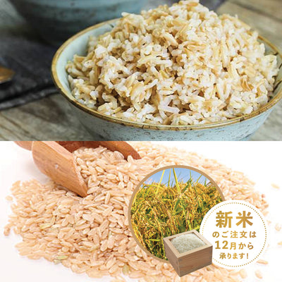 Yamagata Tsuyahime Brown Rice