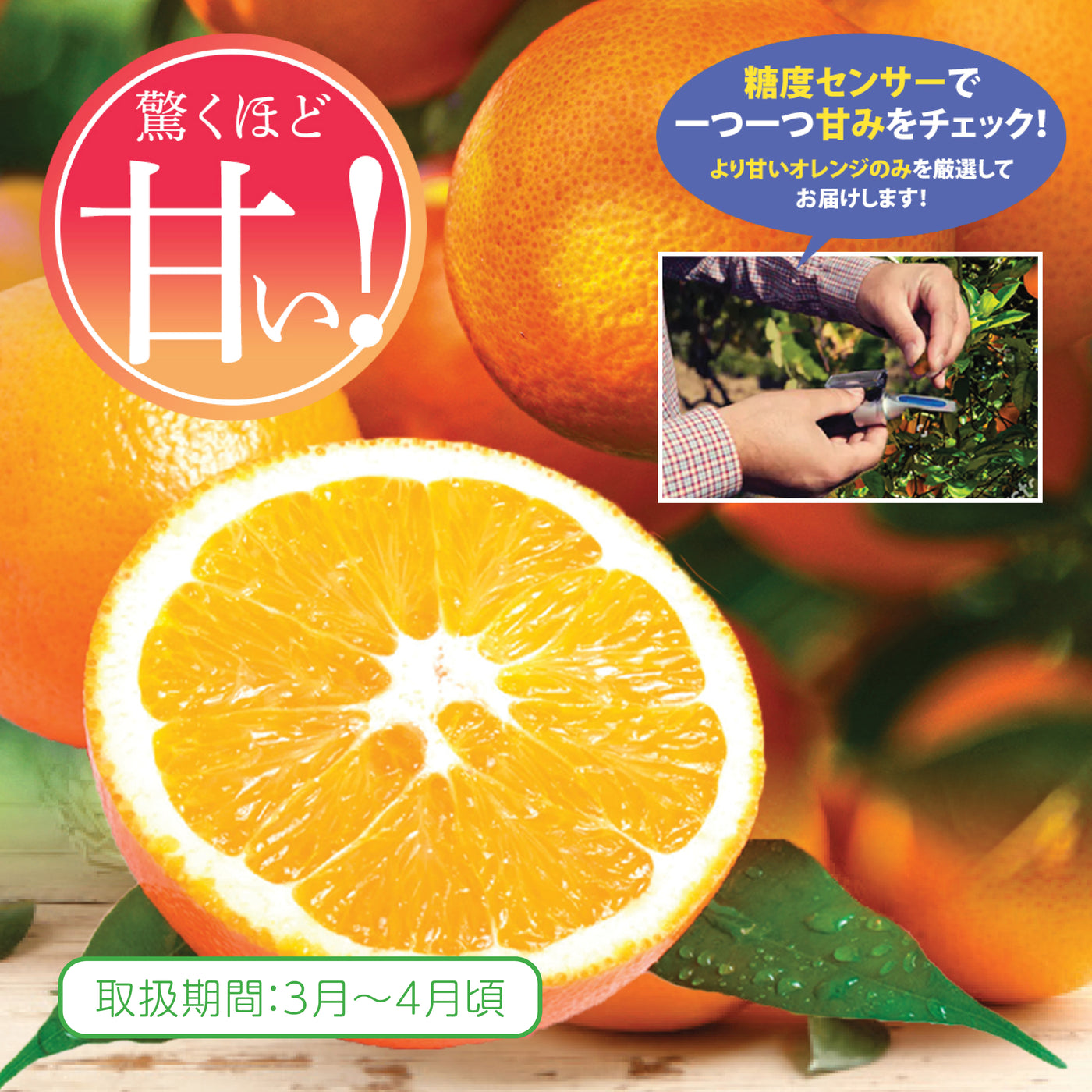 Extra Sweet Royal Navel Oranges & Ruby Grapefruits