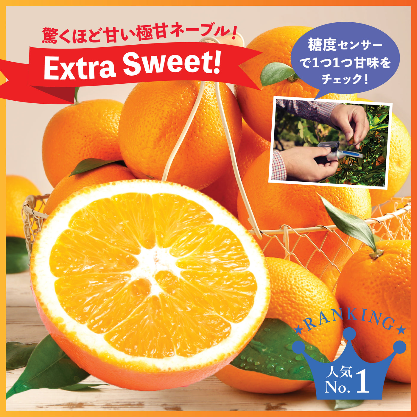 Extra Sweet Royal Navel Oranges (L)