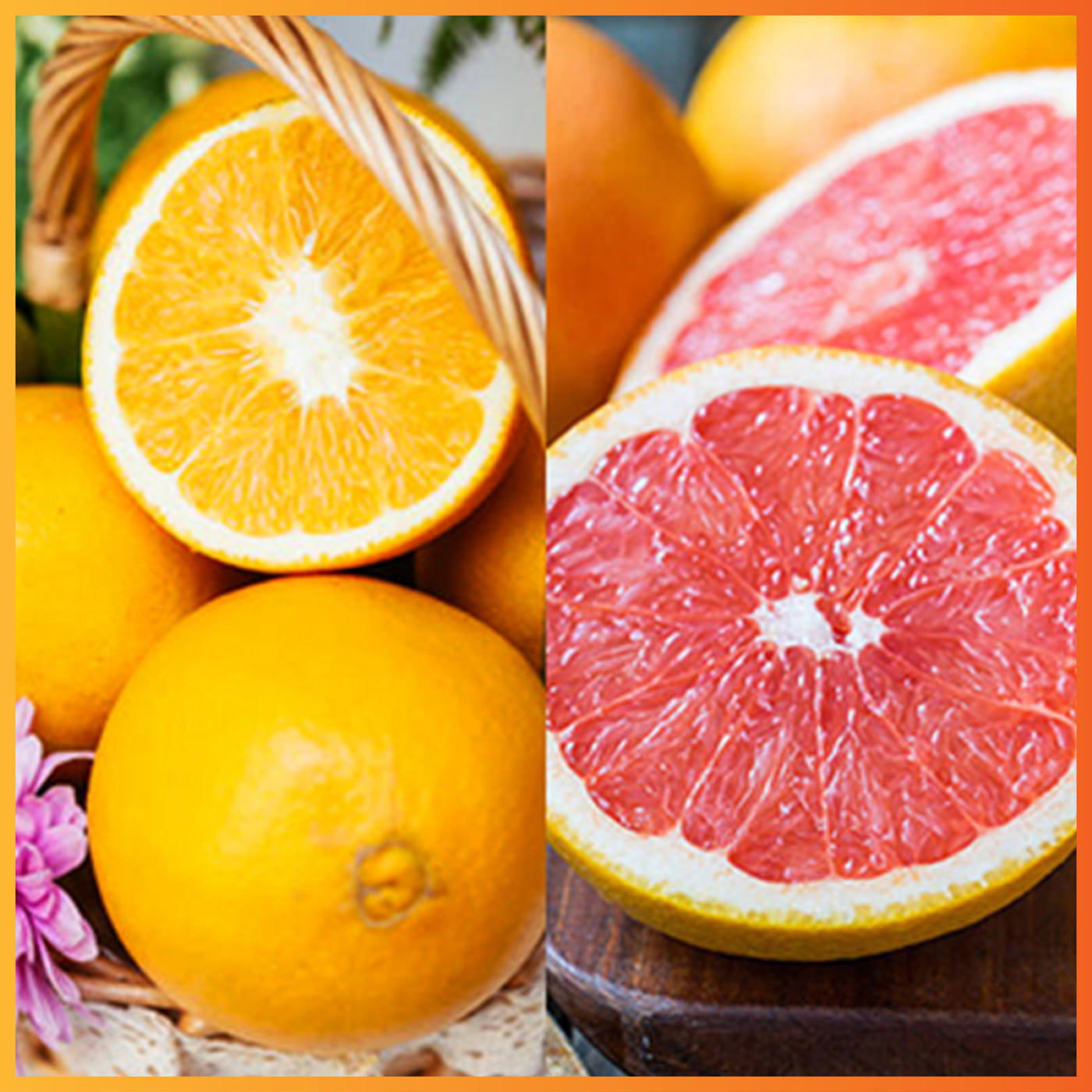 Extra Sweet Royal Navel Oranges & Ruby Grapefruits