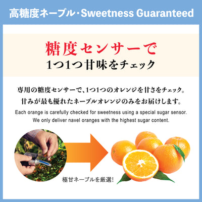 Extra Sweet Royal Navel Oranges (L)