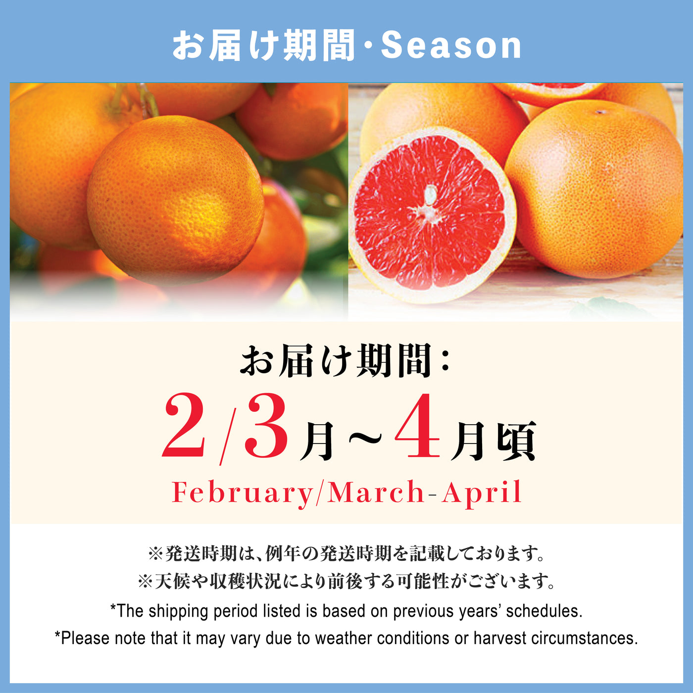 Extra Sweet Royal Navel Oranges & Ruby Grapefruits