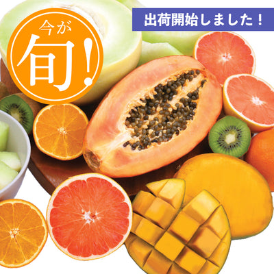 Honeydew Melon Premium Set