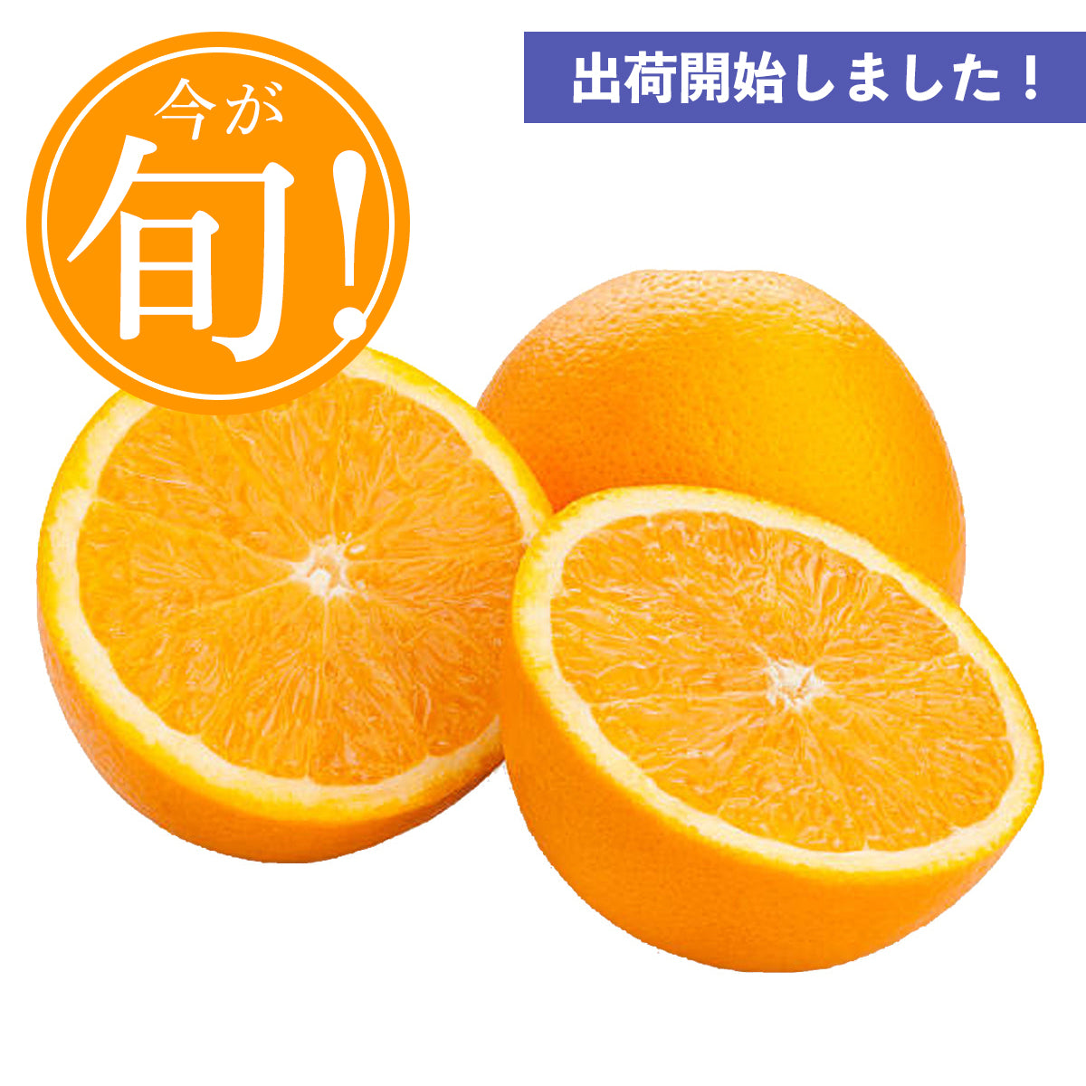 Premium Navel Oranges (XL) Australia (Jul to Sep)