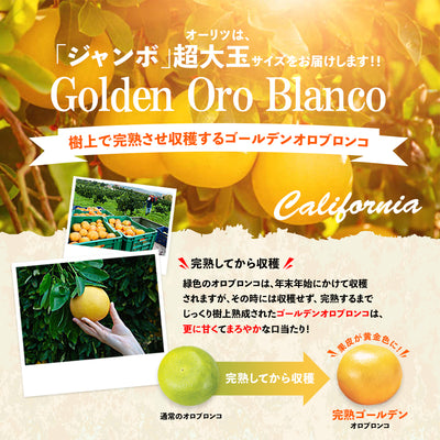 Jumbo Golden Oro Blanco Special